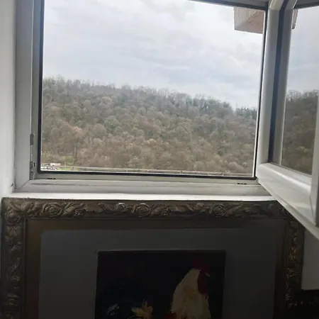 Guest house Vila Rossi Belgrade