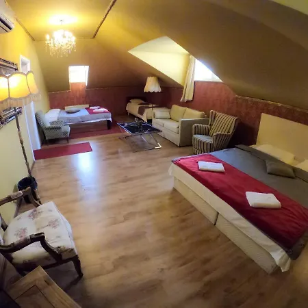 Guest house Vila Rossi *