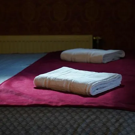 Guest house Vila Rossi *